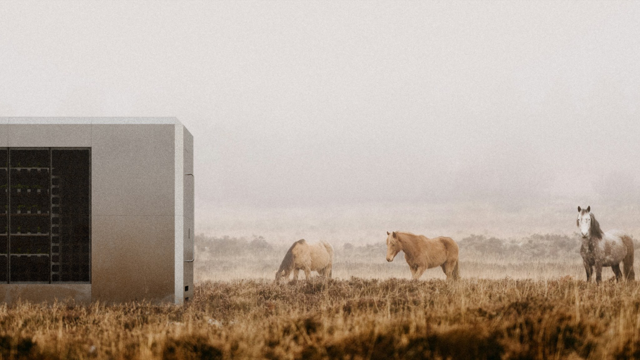 A gray modular BIOM unit standing in a misty field beside grazing horses